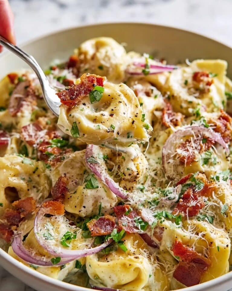 Fresh Grinder Tortellini Salad Recipe